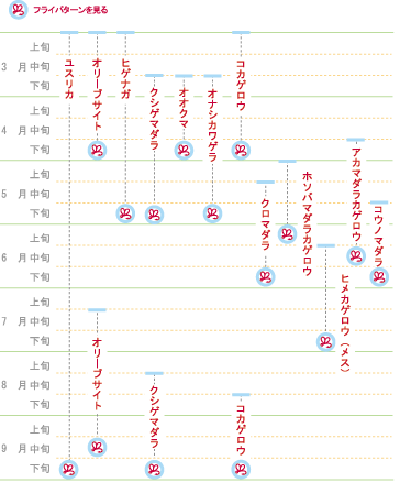 NHach Chart